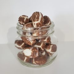 Freeze Dried Mini Charleston's